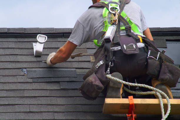 Roof Moss and Algae Removal in Carlton, OR